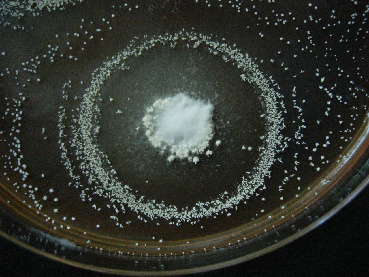 MSU_FS-00306 01, Район Тан Фу (Tân Phú district), Đồng Nai province (Vietnam)