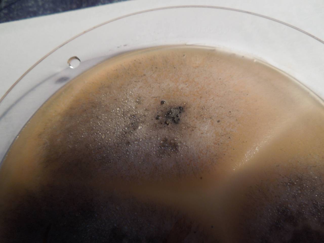 MSU_FS-01551 01, Район Тан Фу (Tân Phú districts), Đồng Nai province (Vietnam)