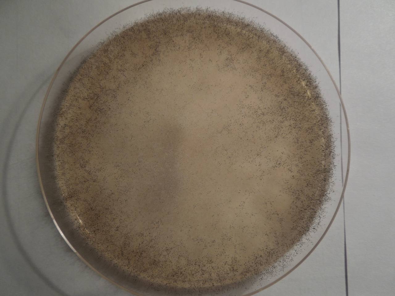 MSU_FS-01615, Район Тан Фу (Tân Phú districts), Đồng Nai province (Vietnam)