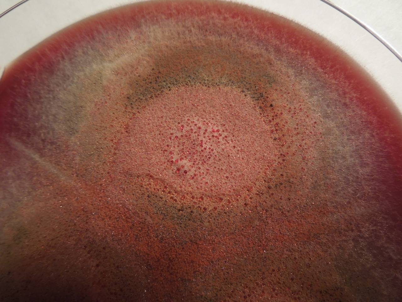 MSU_FS-01625 01, Район Тан Фу (Tân Phú districts), Đồng Nai province (Vietnam)