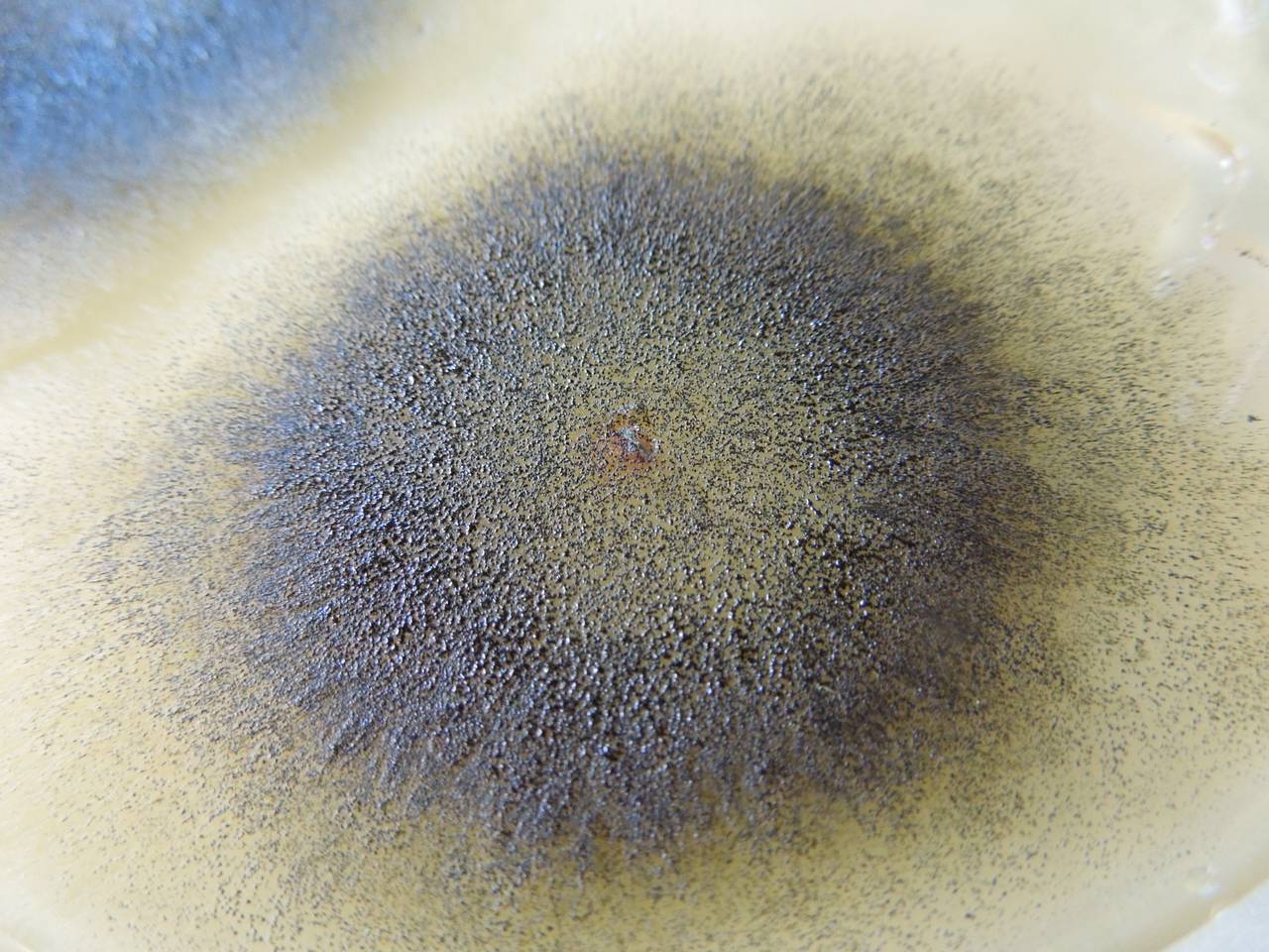 MSU_FS-01937 01, Район Бу Зяп (Bù Gia Mập district), Bình Phước province (Vietnam)