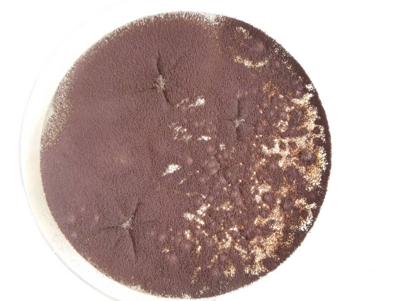 MSU_FS-02152, Район Быон Дон (Buôn Đôn district), Đắk Lắk province (Vietnam)