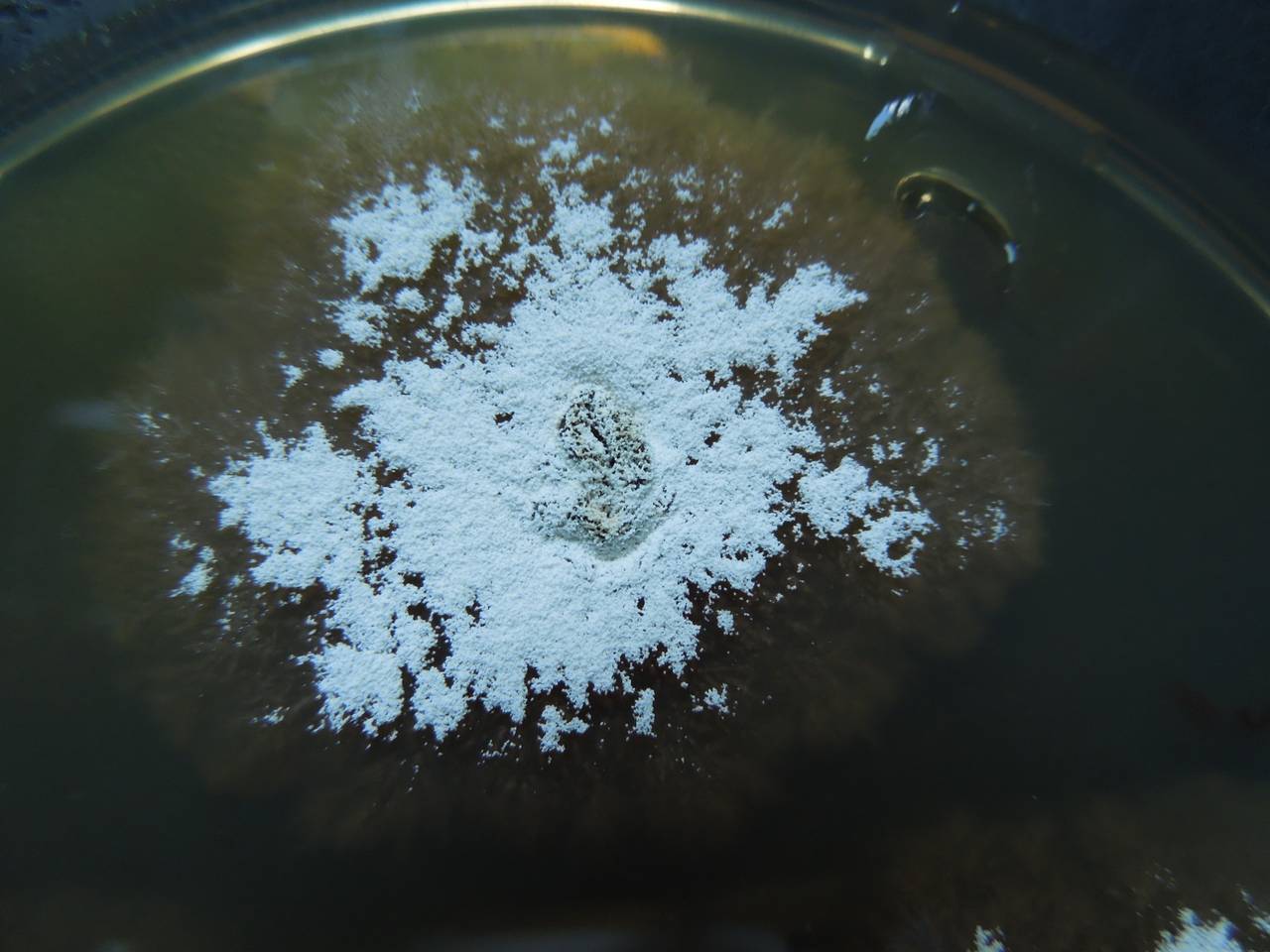 MSU_FS-02217 01, Район Тан Шон (Thanh Sơn district), Bến Tre Province (Vietnam)