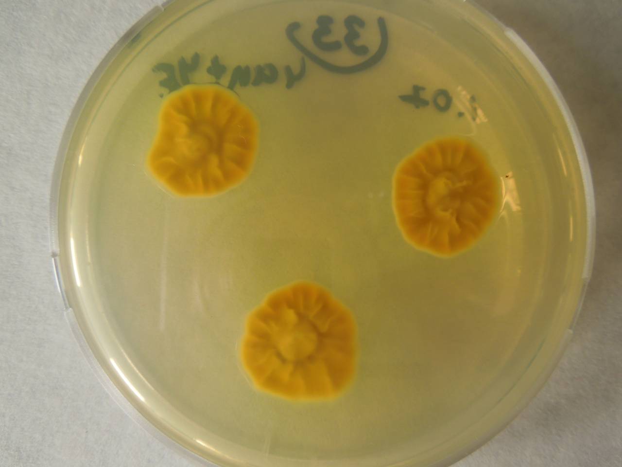 MSU_FS-02235 01, Район Ба Ви муниципалитета Ханой (Ba Vì district of Hanoi), Hanoi (Vietnam)