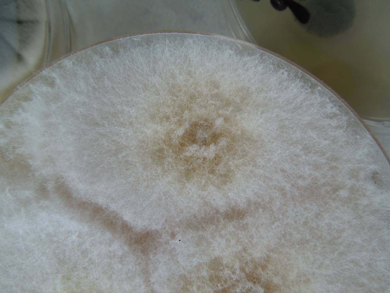 MSU_FS-02308 01, Район Ба Ви муниципалитета Ханой (Ba Vì district of Hanoi), Hanoi (Vietnam)