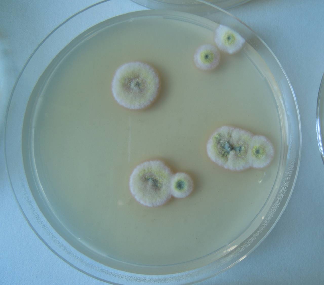 MSU_FS-02545 01, Район Ша Тай (Sa Thầy district), Kon Tum province (Vietnam)