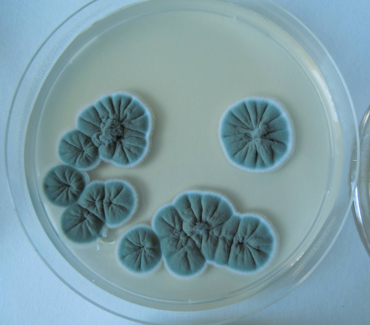 MSU_FS-02550 01, Район Ша Тай (Sa Thầy district), Kon Tum province (Vietnam)