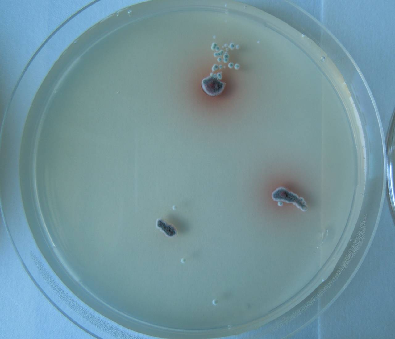 MSU_FS-02568 01, Район Ша Тай (Sa Thầy district), Kon Tum province (Vietnam)