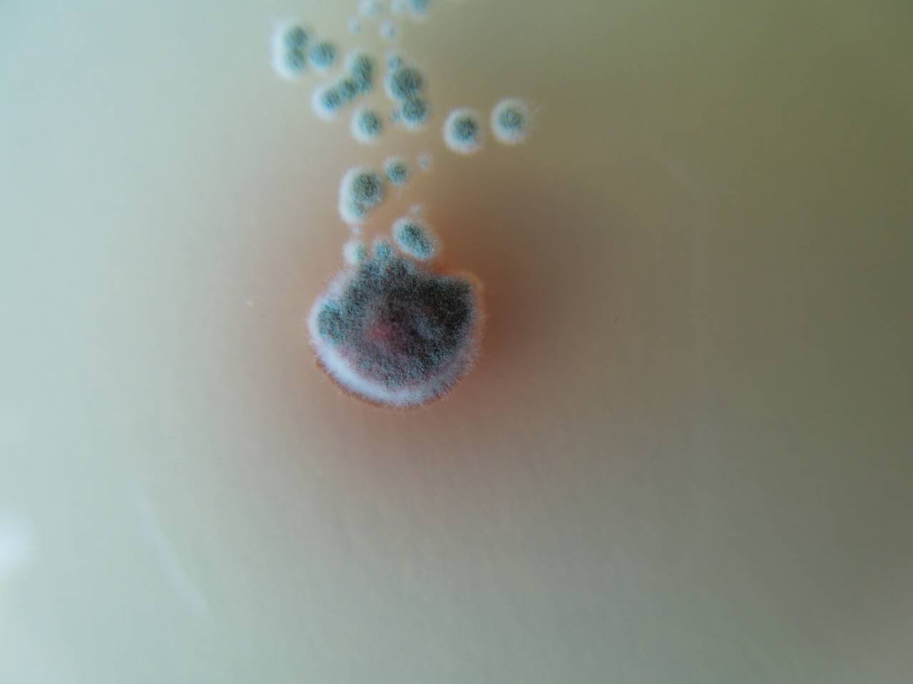 MSU_FS-02568 01, Район Ша Тай (Sa Thầy district), Kon Tum province (Vietnam)