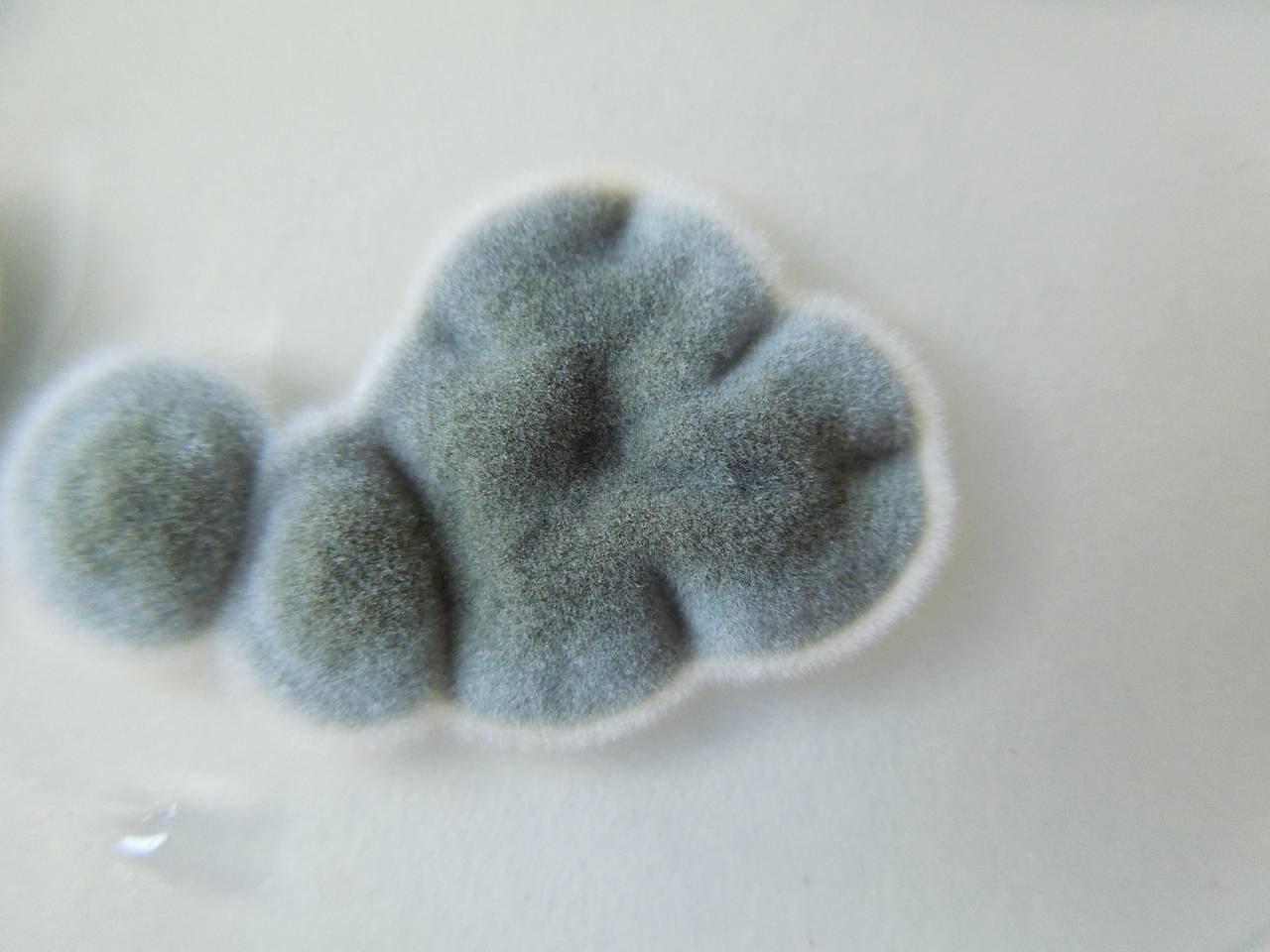 MSU_FS-02591, Район Ша Тай (Sa Thầy district), Kon Tum province (Vietnam)