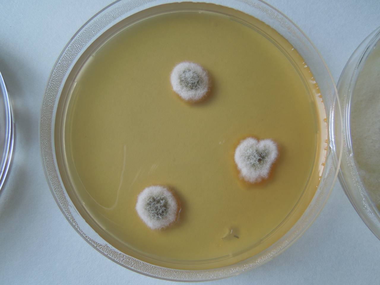 MSU_FS-02663 01, Район Ша Тай (Sa Thầy district), Kon Tum province (Vietnam)