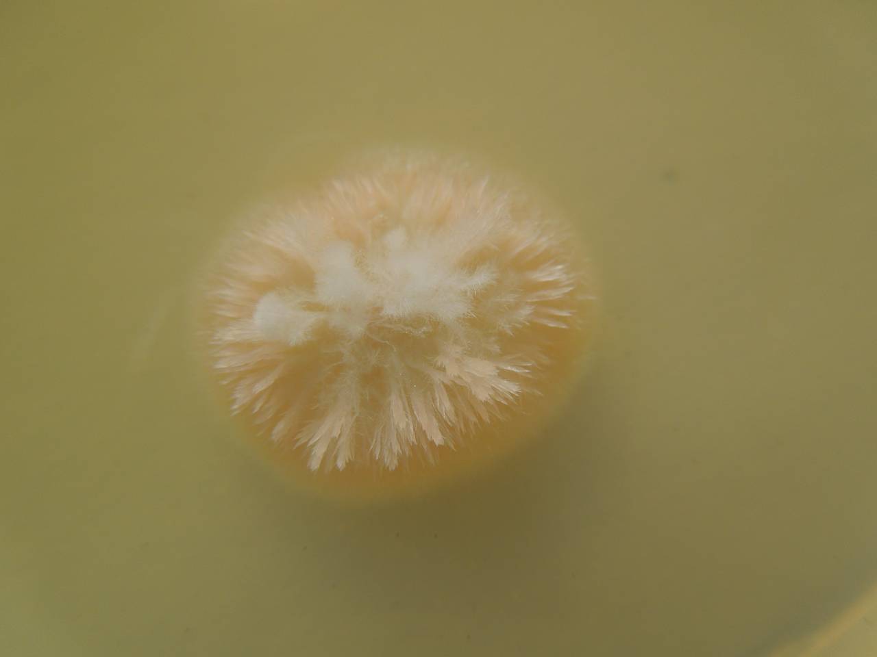 MSU_FS-02713 01, Район Ша Тай (Sa Thầy district), Kon Tum province (Vietnam)