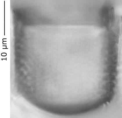 Aul.crass305-310_1, о. Шемья (Shemya), Alaska (United States)