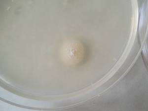 MSU_FS-03313_01, Район К Банг (K'Bang districts), Провинция Зялай (Gia Lai province) (Вьетнам)